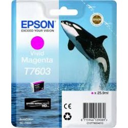 Μελάνι Epson Vivid Magenta T7603 26ml (C13T76034010)